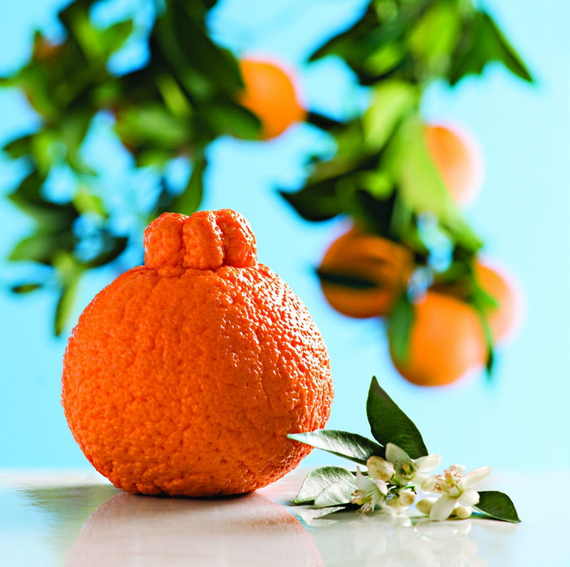 Illustration for article titled Inane debate: fruits